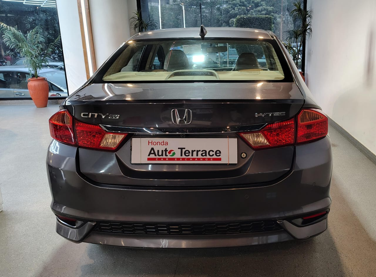 WhatsApp Image 2026-01-03 at 5.38.54 PM (1) (1)